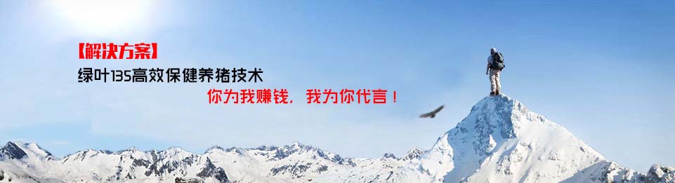 135高效保健養(yǎng)豬技術(shù)活解決方案